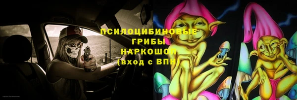 хмурый Алексеевка