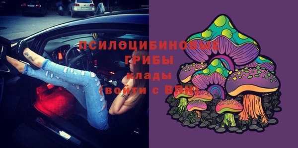 кокс Алексин