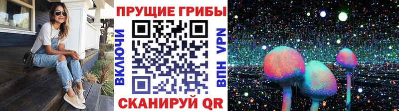 Галлюциногенные грибы Psilocybine cubensis  купить наркотики сайты  Кемерово 