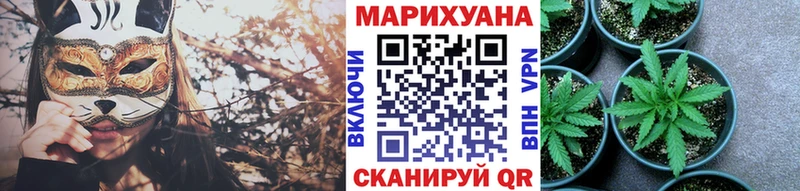 маркетплейс наркотические препараты  Кемерово  Бошки Шишки план 
